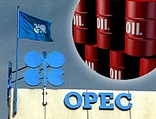 opec du bao san luong dau se tang manh trong 5 nam toi