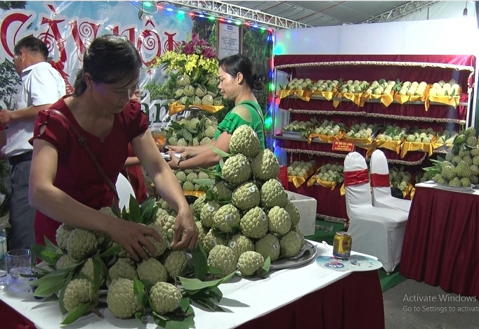 huong toi chuoi gia tri na chi lang phat trien ben vung