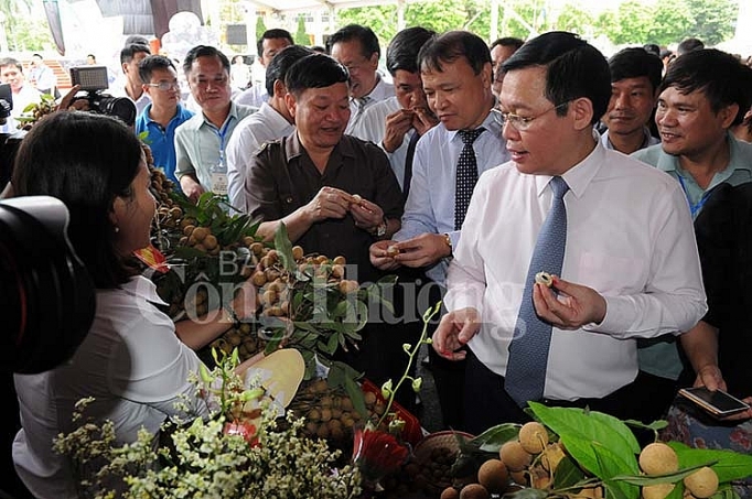 pho thu tuong vuong dinh hue chi dao xuc tien tieu thu nhan va nong san nam 2018