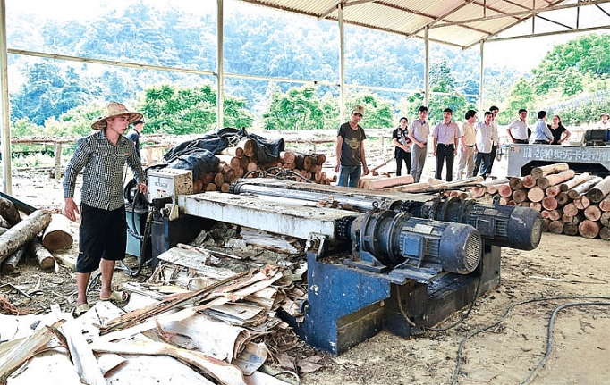 cao bang tao da cho cong nghiep ho tro but pha