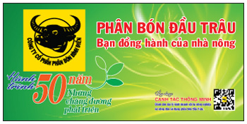 phan-bon-binh-dien-c-lan-huong