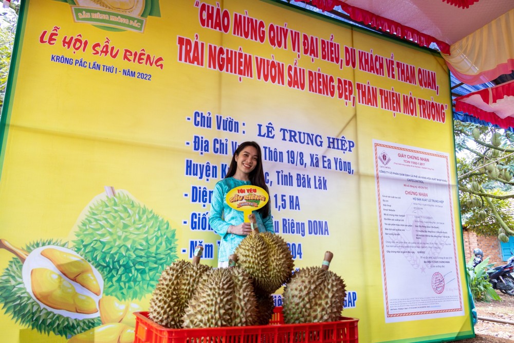Đắk Lắk: Rộn ràng khai mạc Lễ hội Sầu riêng Krông Pắk