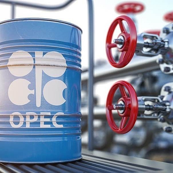 Tổ chức các nước xuất khẩu dầu mỏ sẽ cắt giảm sản lượng dầu vào ngày 5/9?