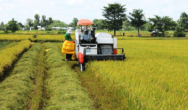 Công Thương qua góc nhìn báo chí ngày 6/9: Gạo xuất khẩu không còn “vô danh”