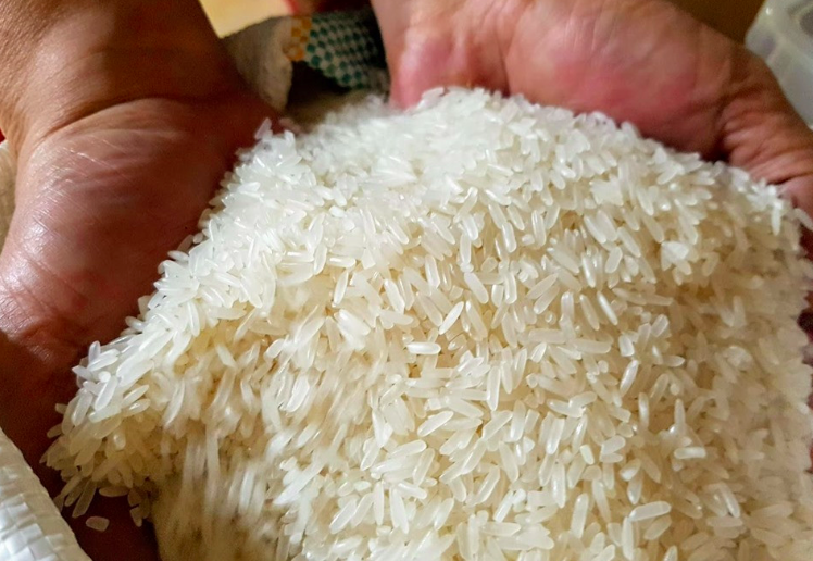 Giá lúa gạo hôm nay 17/9: Giá gạo tăng từng ngày