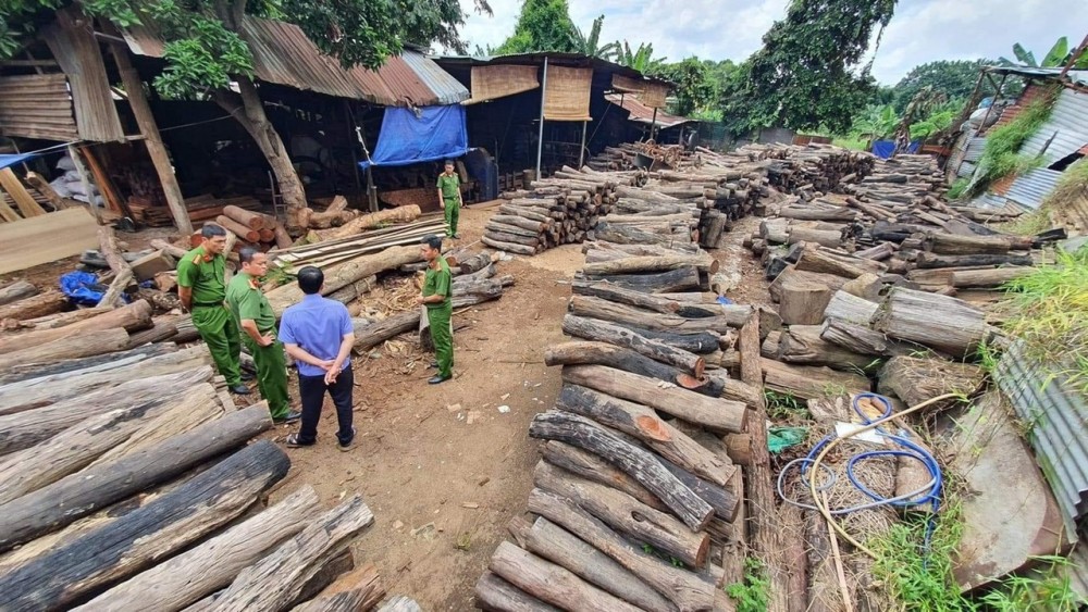 Cơ quan chức năng phát hiện xưởng tập kết gỗ trái phép ngay tại trung tâm TP Buôn Ma Thuột (Ảnh: Đức Nguyễn).