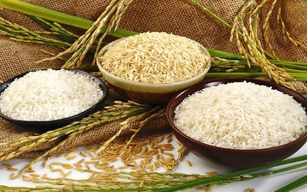 Giá lúa gạo hôm nay 23/9: Nếp khô tăng mạnh 1.300 đồng/kg