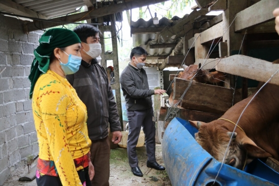 Tỉnh Hà Giang thực hiện Nghị định 78: 20 năm giúp đồng bào vượt khó, thoát nghèo