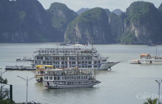 Sắp diễn ra Đại hội đồng Diễn đàn Du lịch Liên khu vực Đông Á tại Quảng Ninh