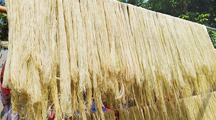 ECOSOI: Xanh hóa ngành dệt may bằng sợi lá dứa
