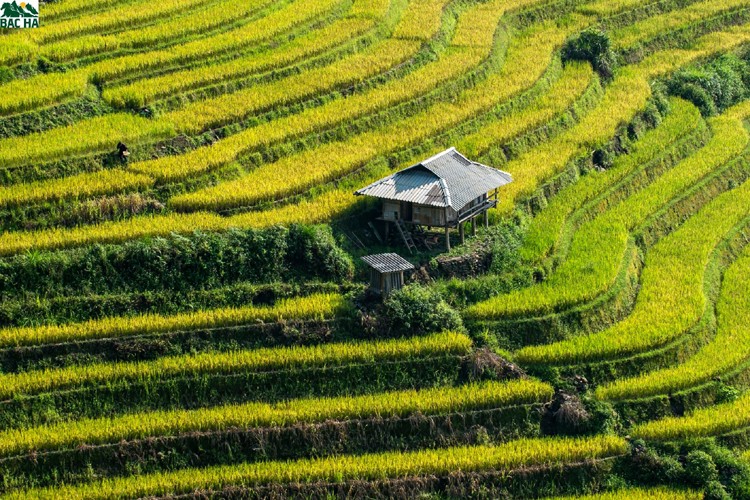 Bản Liền huyện Băc Hà gắn phát triển du lịch nông nghiệp với bảo vệ môi trường nông thôn mới