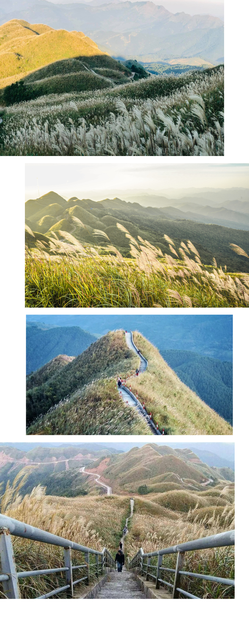 Longform | Kinh tế ban đêm “mỏ vàng” của tỉnh Quảng Ninh - Bài 3 Longform | Kinh tế ban đêm “mỏ vàng” của tỉnh Quảng Ninh - Bài 3