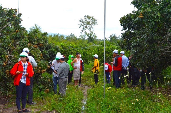 Đắk Lắk: Phát triển du lịch sinh thái nông nghiệp gắn với xây dựng nông thôn mới