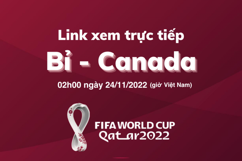 Link xem trực tiếp World Cup 2022 trận Bỉ - Canada 02h00 ngày 24/11