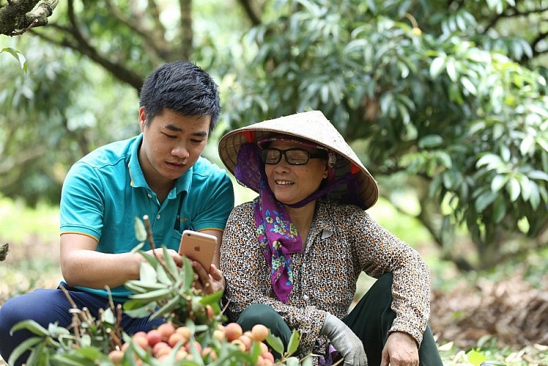 Bắc Giang: Tiêu thụ nông sản miền núi trên nền tảng thương mại điện tử