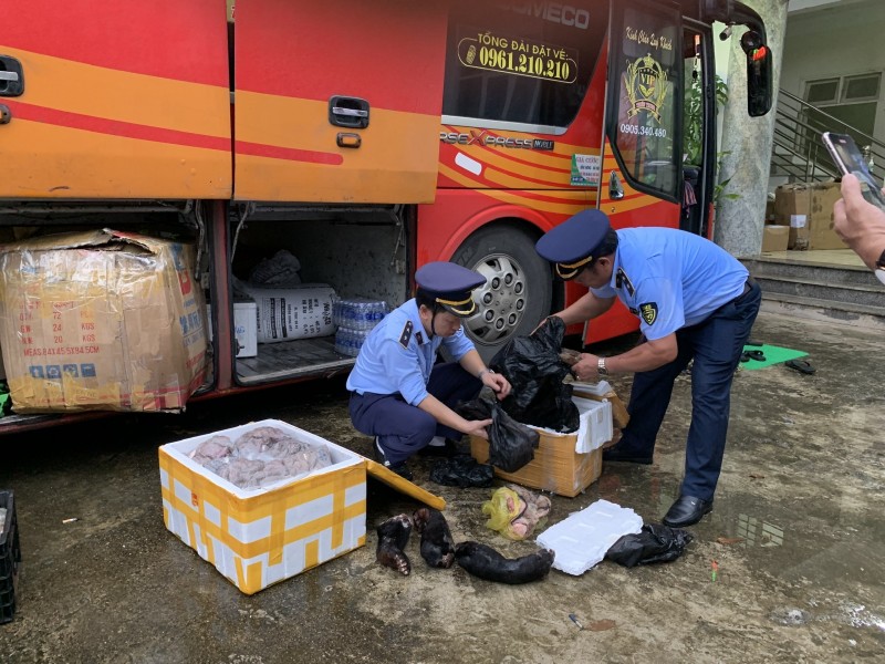 Phát hiện ô tô vận chuyển cá thể động vật hoang dã tại Quảng Bình