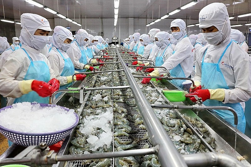 Xuất khẩu tôm sang Trung Quốc tăng 50% trong tháng 10/2022