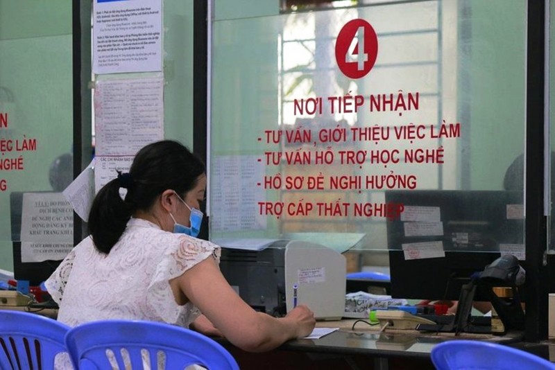 TP. Hồ Chí Minh hướng dẫn các thủ tục hưởng trợ cấp thất nghiệp