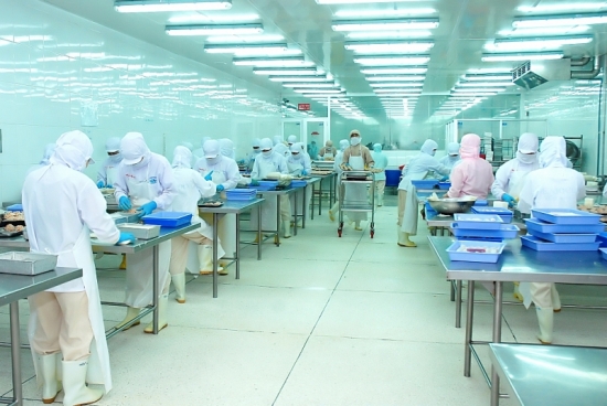 Xuất khẩu cá tra sang thị trường Mỹ giảm hơn 80%