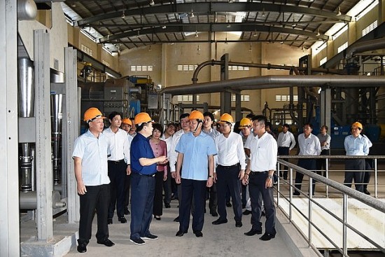 Phó Thủ tướng: Trình phương án xử lý dứt điểm Dự án Nhà máy bột giấy Phương Nam trước 15/4