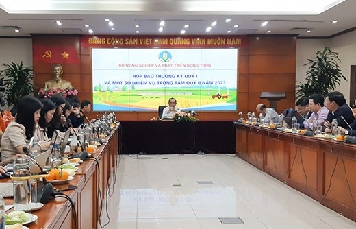 Giá heo hơi liên tục giảm, Bộ Nông nghiệp nói gì?