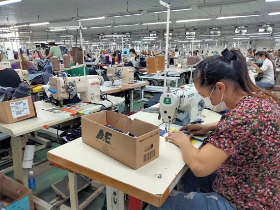 Áp lực chuyển đổi số và phát triển kinh tế tuần hoàn trong ngành dệt may