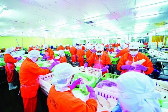Biến phụ phẩm cá tra thành sản phẩm xuất khẩu triệu USD