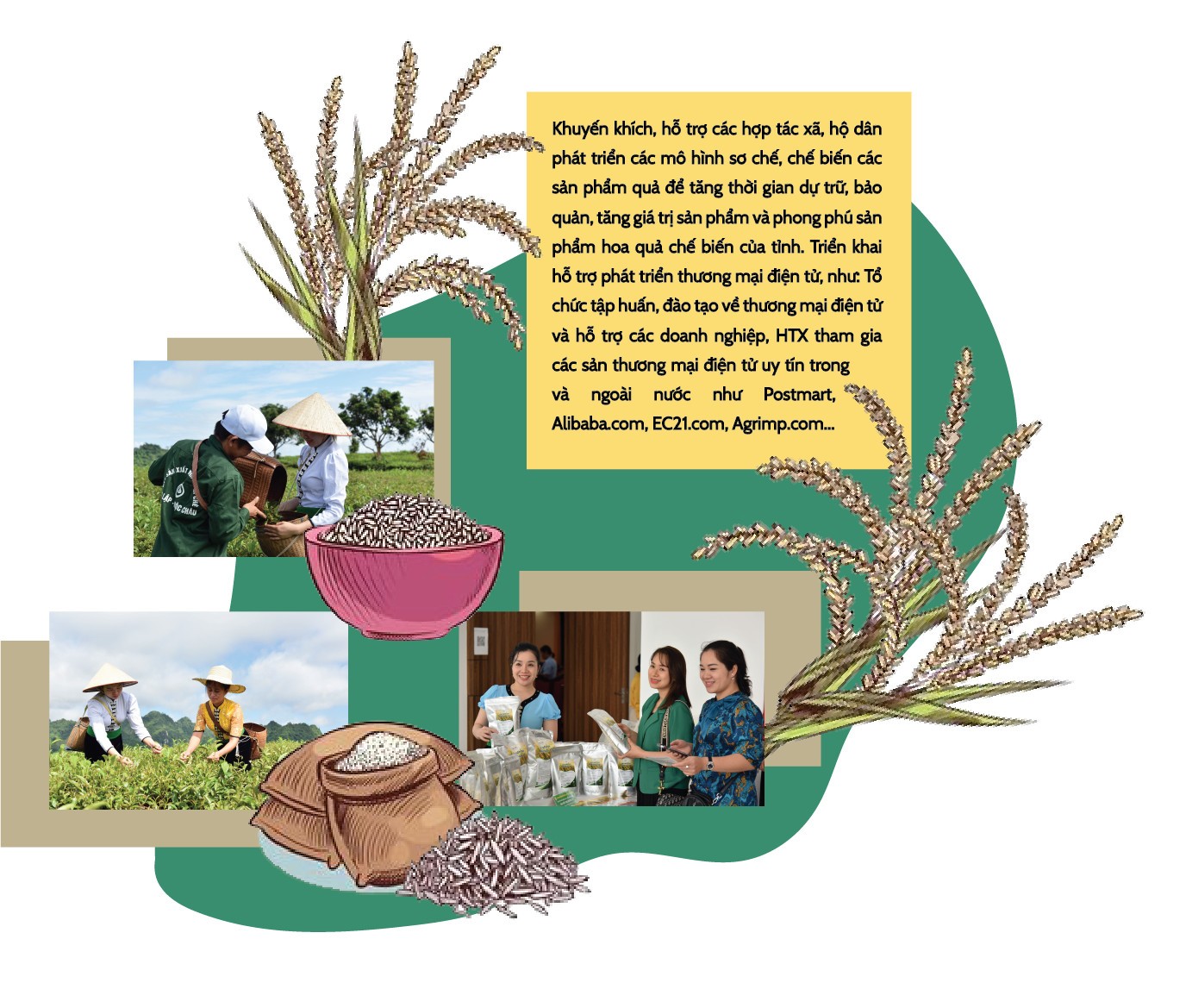 Longform | Sơn La: Sẵn sàng phương án tiêu thụ nông sản năm 2023