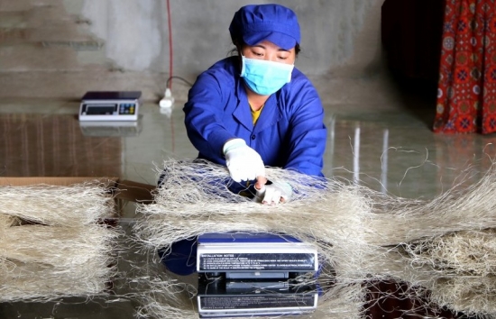 Chiến lược xuất nhập khẩu hàng hóa tỉnh Bắc Kạn đến năm 2030: Phấn đấu tốc độ tăng trưởng 6-7%/năm