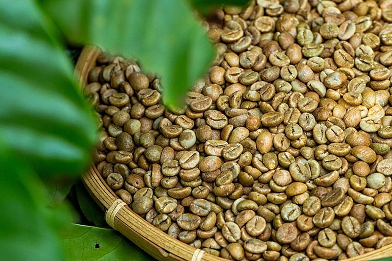 5 tháng đầu năm 2023, xuất khẩu cà phê vượt mốc 2 tỉ USD