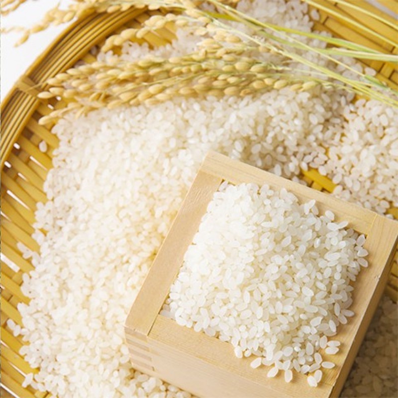 Giá lúa gạo hôm nay 16/5: Giá gạo biến động trái chiều