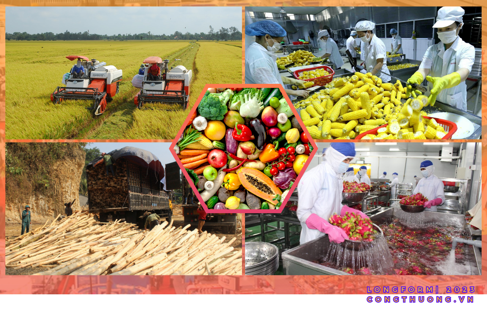 Longform | Khai thác bền vững thị trường nội địa cho tiêu thụ nông sản