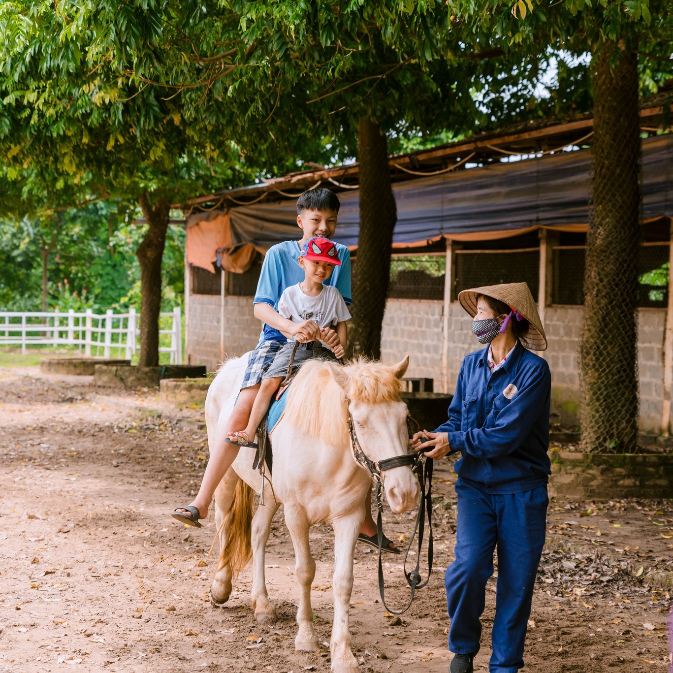 Trải nghiệm cưỡi ngựa ở Ba Vì. Ảnh: Dê trắng farm