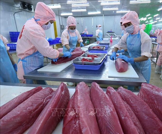 Không để xuất khẩu thủy sản tuột mốc 10 tỷ USD