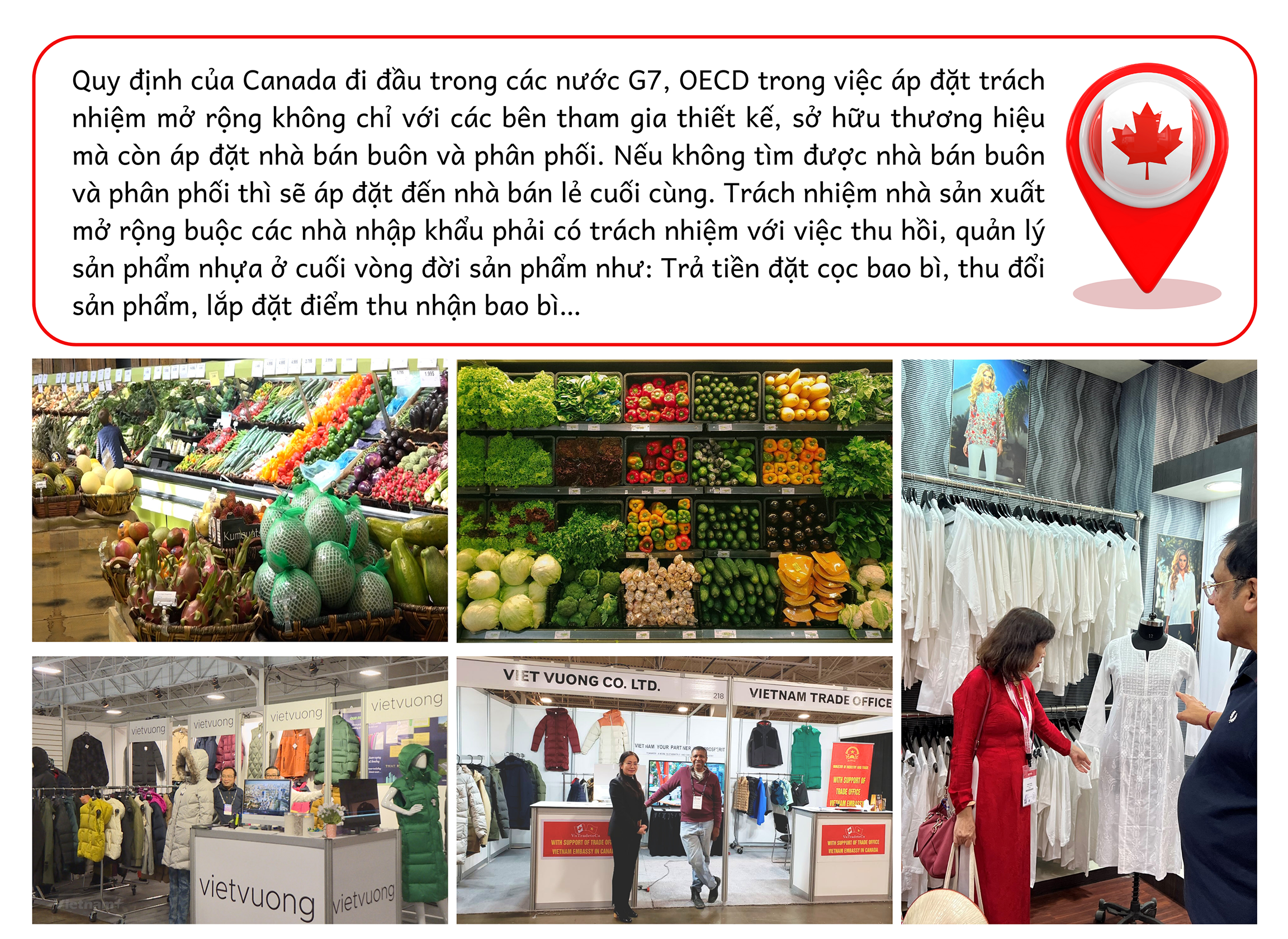 Longform | Những “sứ giả kinh tế” làm rạng danh hàng hoá, thương hiệu Việt trên thế giới