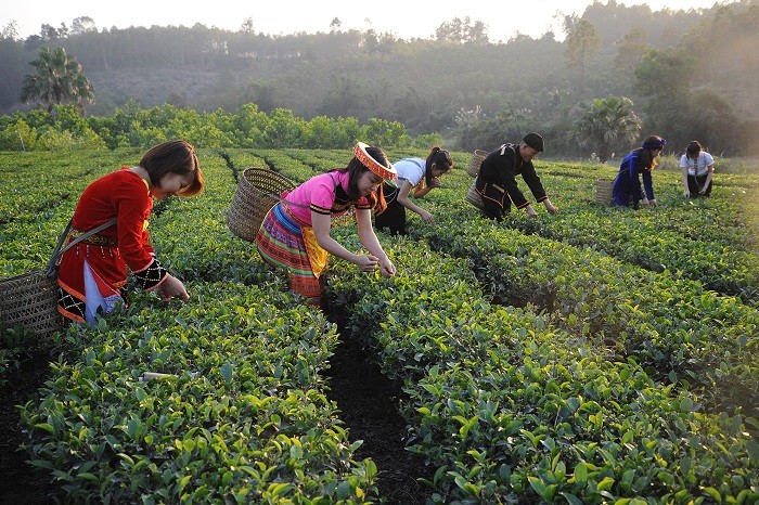 Bắc Giang: Triển khai nhiều chương trình tập huấn cho đồng bào dân tộc