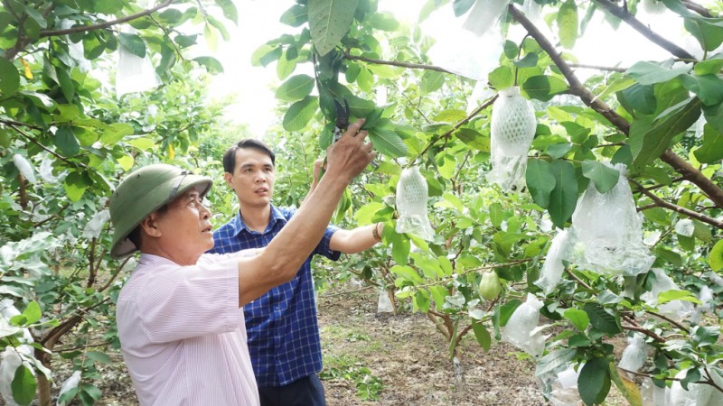 Quảng Ninh dẫn đầu cả nước về số lượng các sản phẩm đạt OCOP