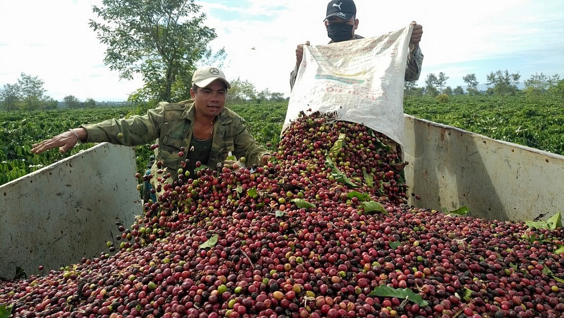 Thị trường cà phê trong nước