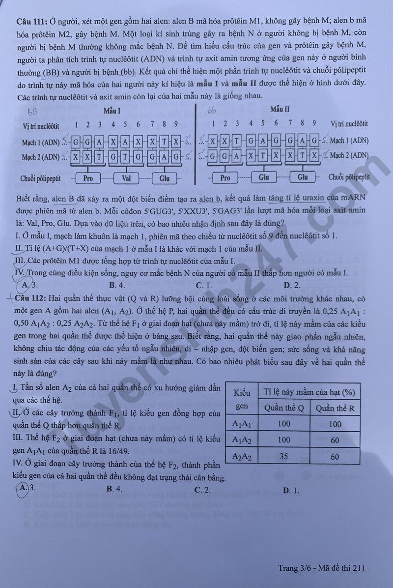 Dap an de thi mon Sinh ma de 211 - Tot nghiep THPT 2024