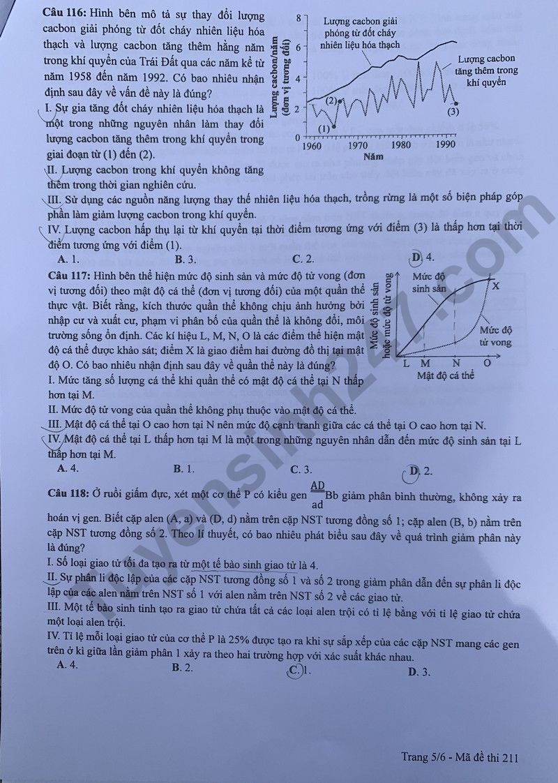 Dap an de thi mon Sinh ma de 211 - Tot nghiep THPT 2024