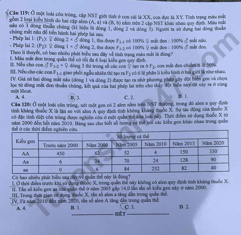 Dap an de thi mon Sinh ma de 211 - Tot nghiep THPT 2024