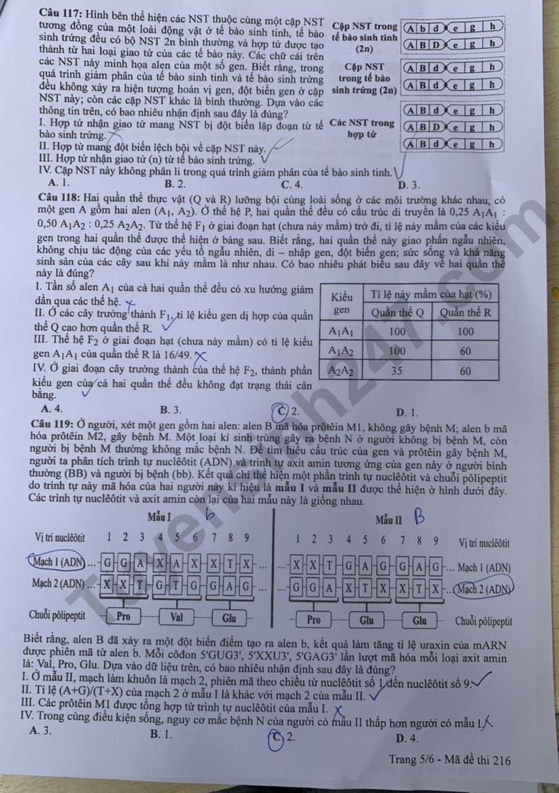 Dap an de thi mon Sinh - ma de 216 tot nghiep THPT 2024