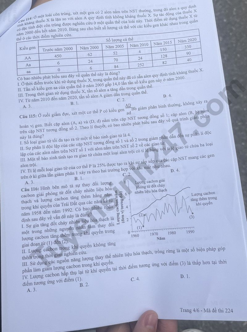 Dap an de thi tot nghiep THPT mon Sinh 2024 - Ma de 224