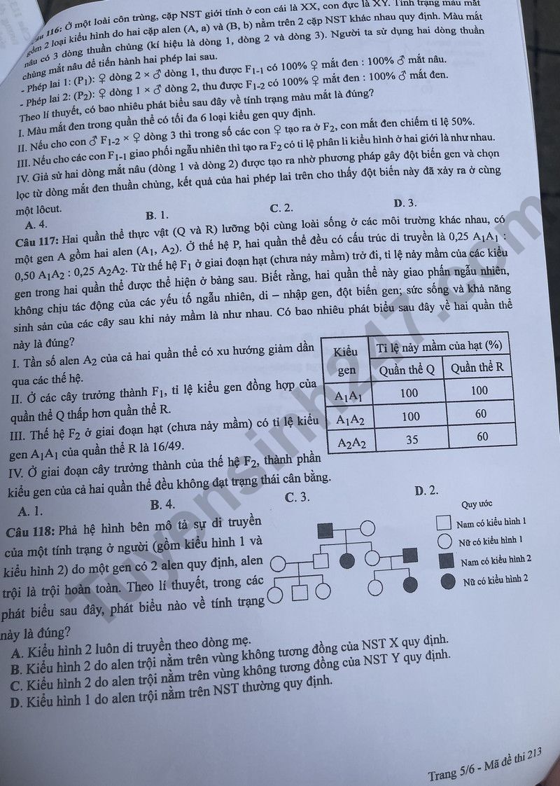 Dap an de thi tot nghiep THPT 2024 mon Sinh ma de 213