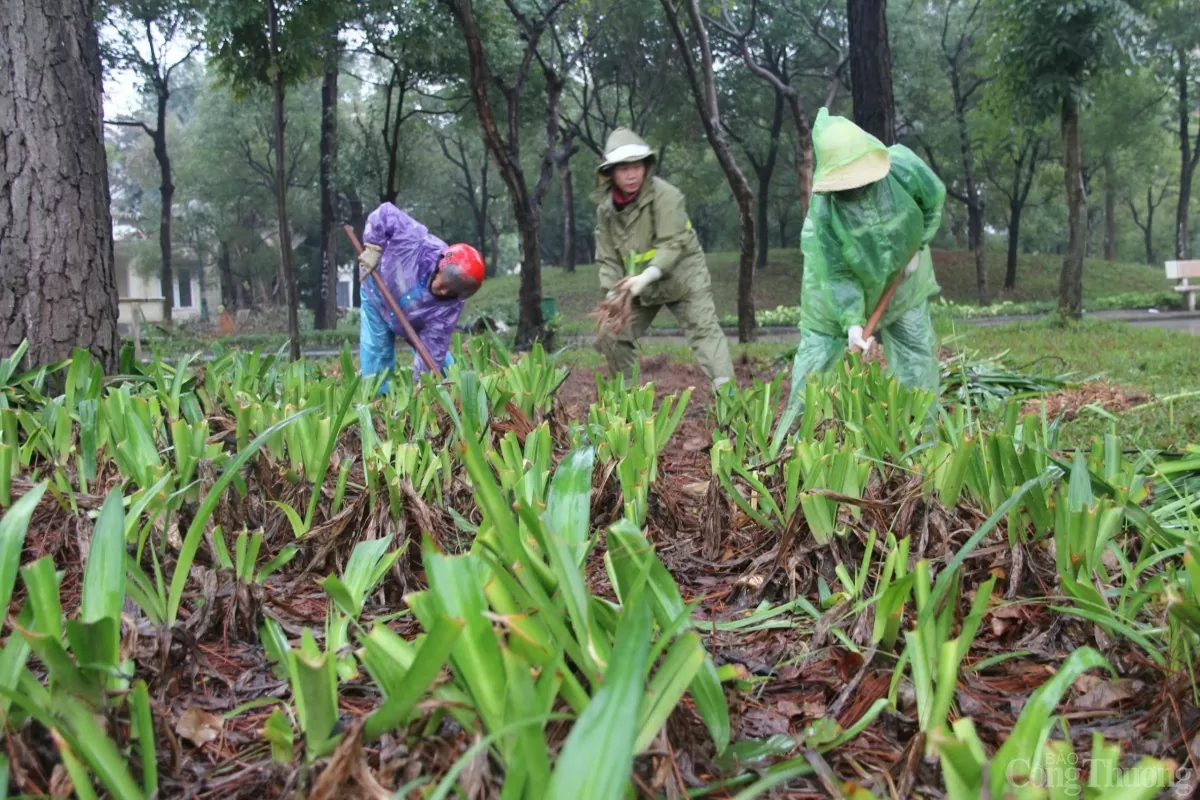 Cải tạo công viên Cầu Giấy sau nhiều năm xuống cấp Cải tạo công viên Cầu Giấy sau nhiều năm xuống cấp