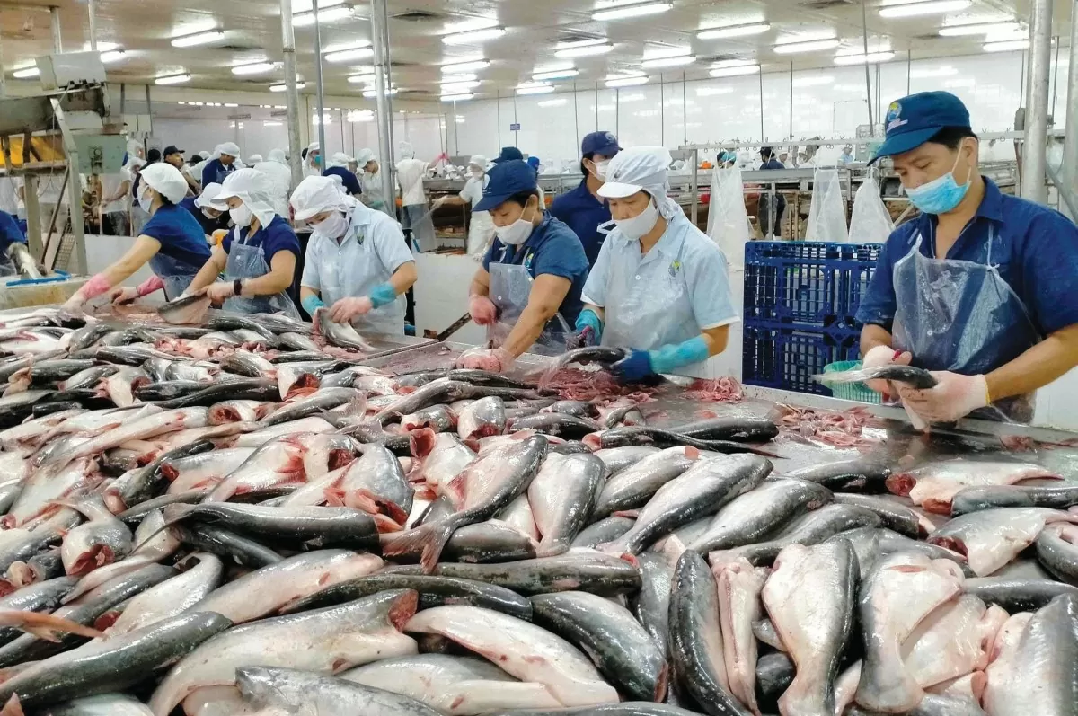 Những thị trường xuất khẩu thuỷ sản lớn nhất của Việt Nam