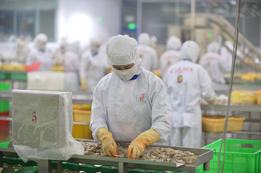 Doanh nghiệp đối mặt nhiề thách thức khi xuất khẩu htuyr sản sang thịt rường châu Phi Doanh nghiệp đối mặt nhiề thách thức khi xuất khẩu htuyr sản sang thịt rường châu Phi