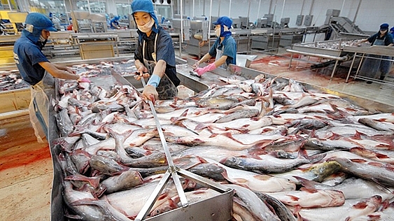 Xuất khẩu nông - thủy sản sang Trung Quốc lại khó khăn do dịch tái phát