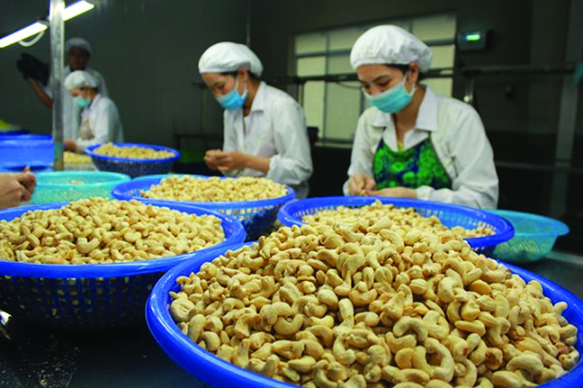 Ngành thực phẩm Việt Nam thu hút nhà đầu tư Nhật Bản