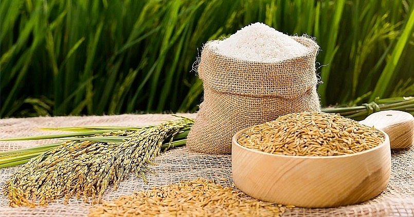 Giá lúa gạo hôm nay 6/5: Nguồn lúa cạn đồng, giá ổn định